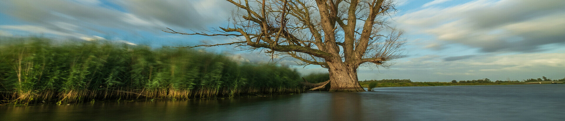 bagues d'adaptation de filtre carré