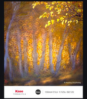 Kase Lens 150 mm 5.6 AF  Reflex  FUJI GFX