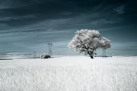 Kase Revolution Infared 720  82 mm