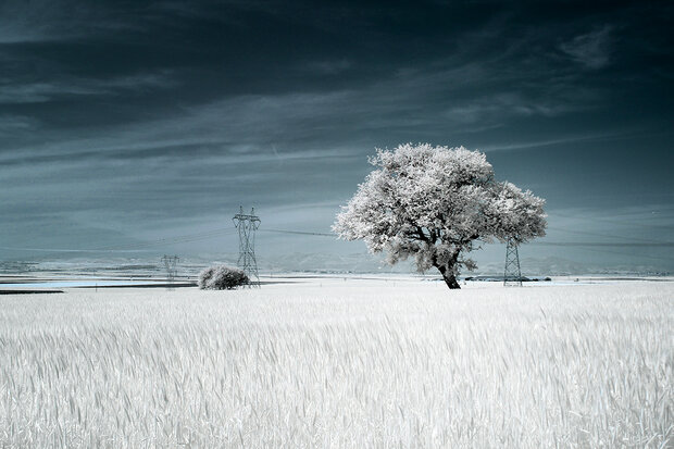 Kase Revolution Infared 720  82 mm